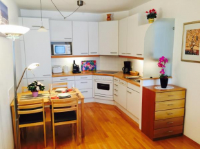 Ferienwohnung Schlagenstraße, Gmunden, Österreich